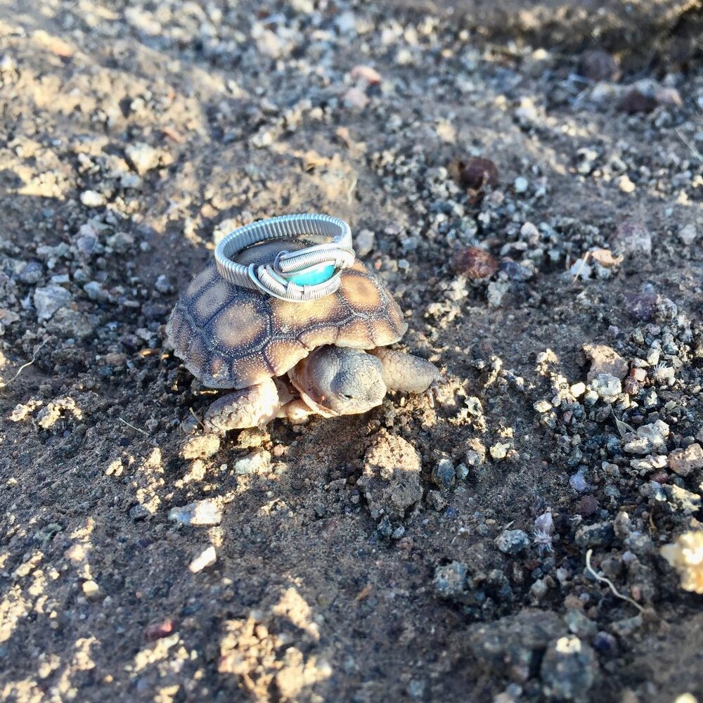 Meet your Posher, J.